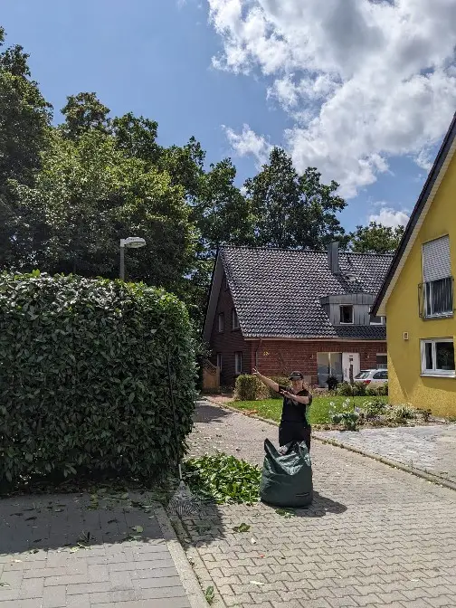 Foto einer geschnittenen Hecke. Das Schnittgut liegt teilweise noch auf dem Boden. Eine Person zeigt auf die Hecke.