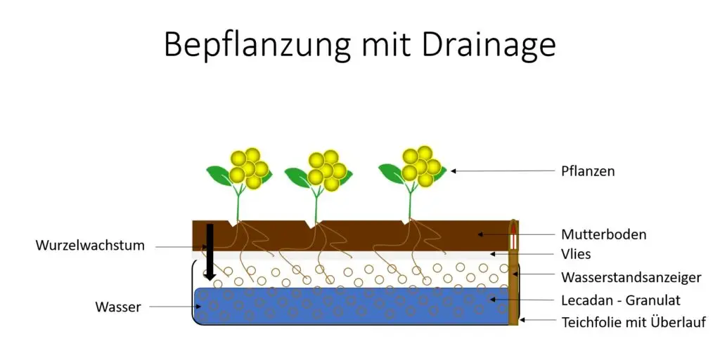 Grafik von einer Bepflanzung mit Drainage.