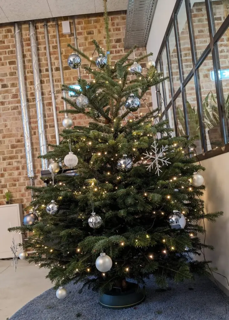 Foto von einer Tanne, die geschmückt ist mit einer Lichterkette, silber-blauen und weißen Kugeln, sowie großen glitzernden dekorativen Schneeflocken.