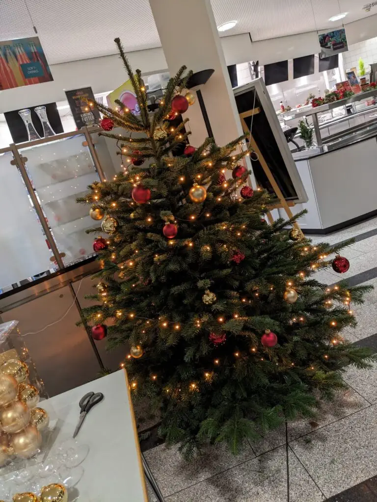 Foto von einer Tanne, die oben bereits geschmückt ist mit einer Lichterkette, sowie roten und goldenen Kugeln. Der untere Bereich der Tanne ist noch kahl.