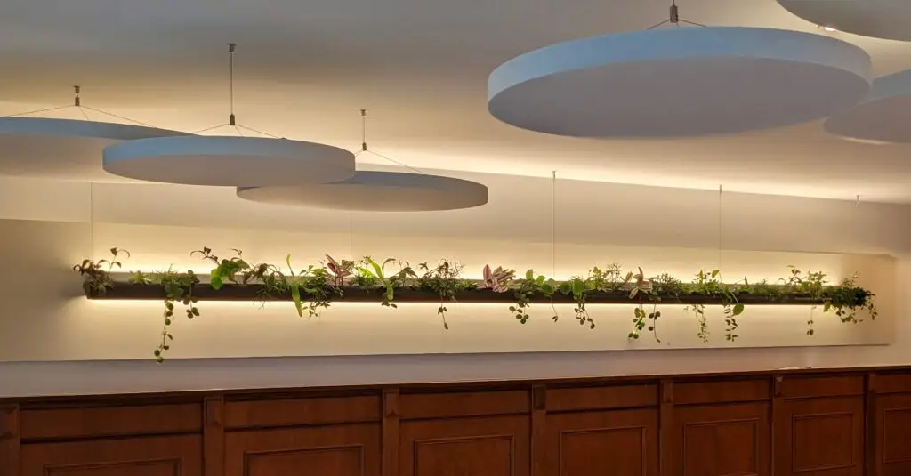 Foto einer schwebenden Innenraumbegrünung, welche an der Decke befestigt ist.
